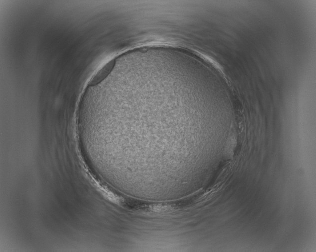 X0000051241375200507011615