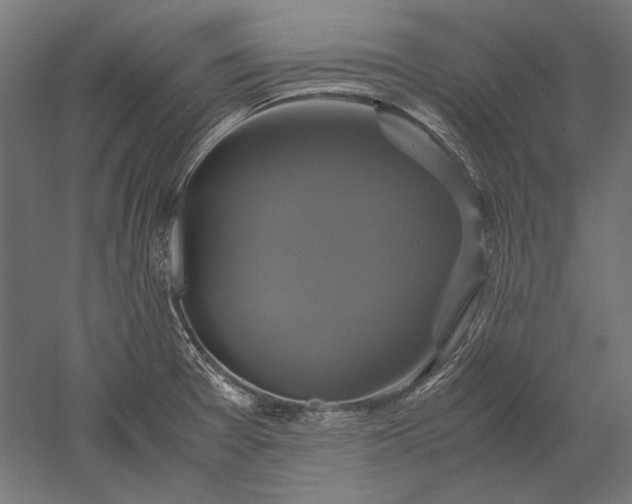 X0000051241377200507011615