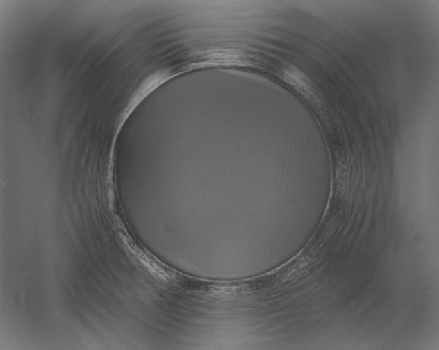 X0000051241378200507011615