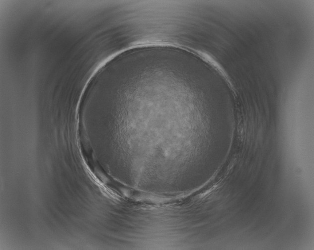 X0000051241380200507011615