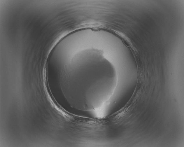 X0000051241383200507011615