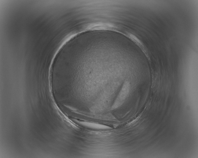 X0000051241384200507011614