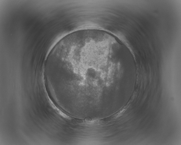 X0000051241390200507011614