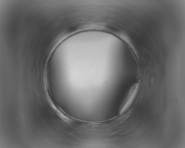 X0000051241391200507011614