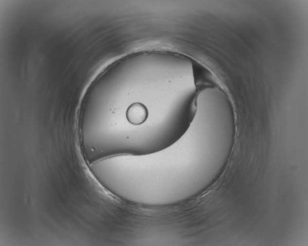 X0000051241392200507011614