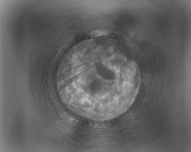 X0000051241393200507011614