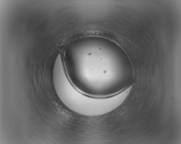 X0000051241394200507011614