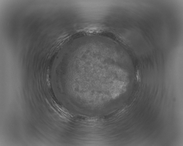 X0000051241396200507011614