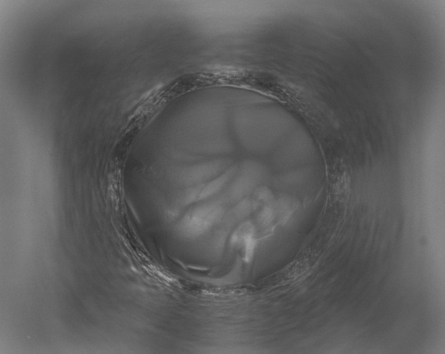 X0000051241397200507011614