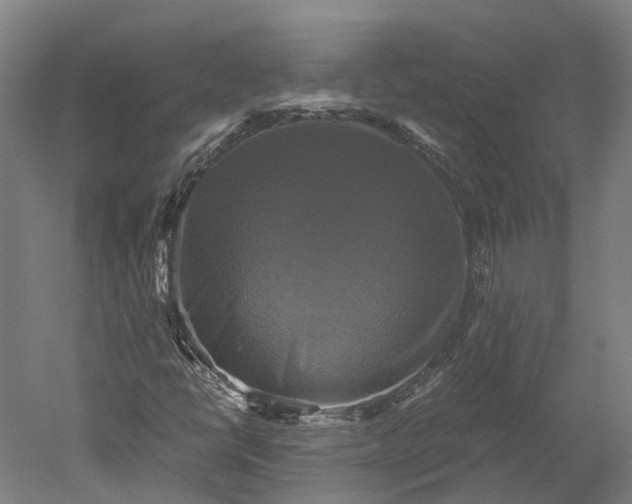 X0000051241398200507011614