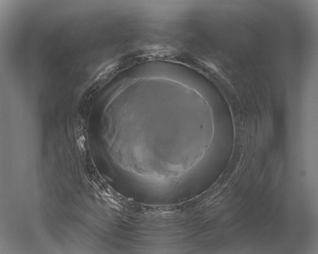 X0000051241399200507011614