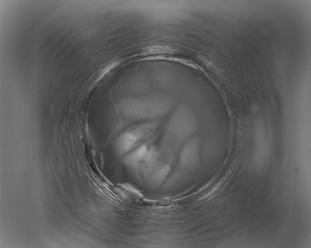 X0000051241401200507011614