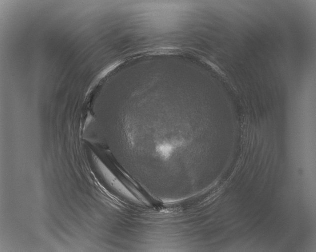 X0000051241402200507011614