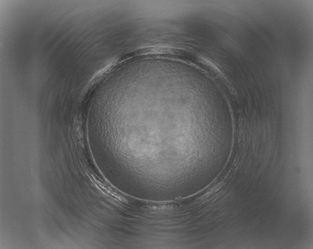 X0000051241403200507011614