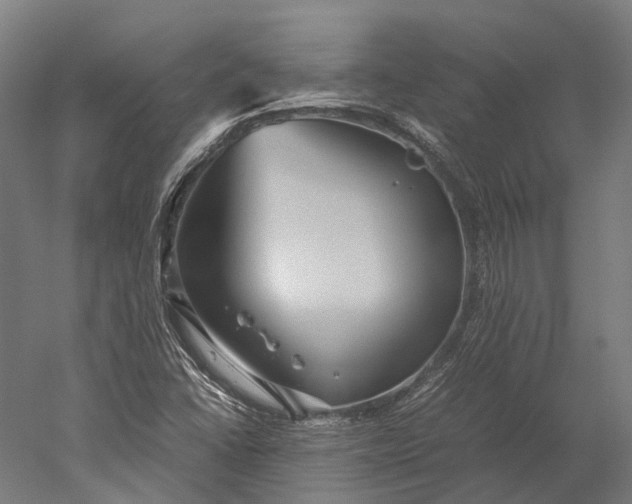 X0000051241406200507011614