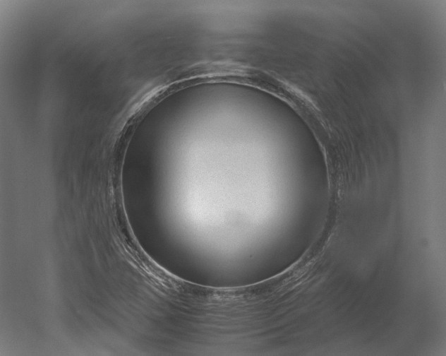 X0000051241407200507011614