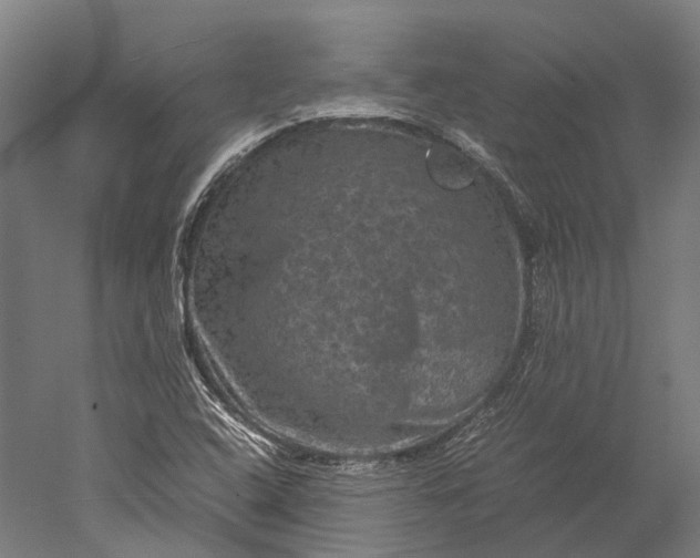 X0000051241408200507011614