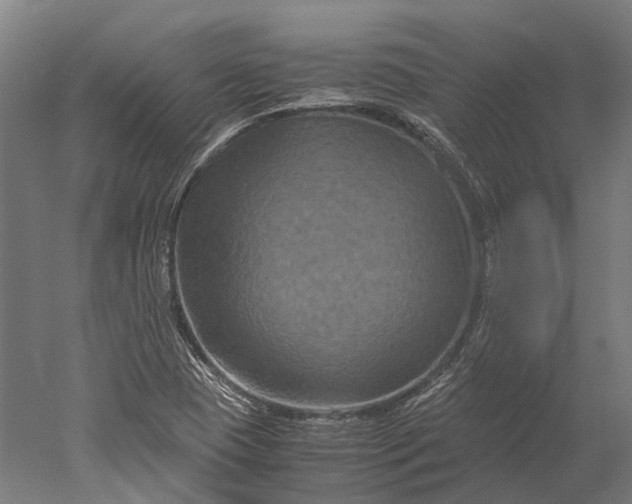 X0000051241409200507011614