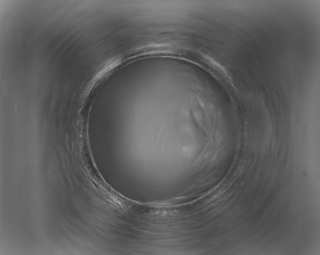 X0000051241411200507011614