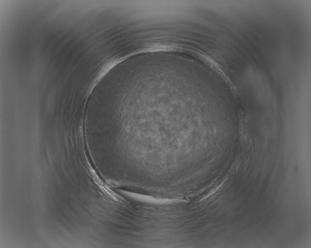 X0000051241417200507011614