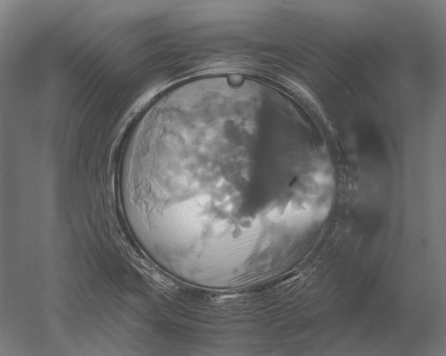 X0000051241419200507011614