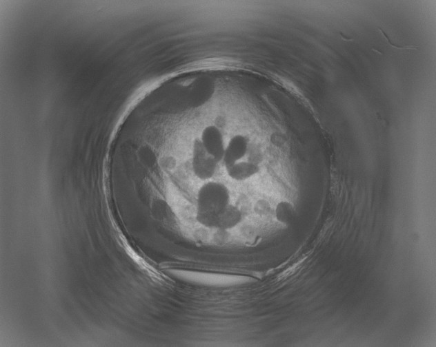 X0000051241421200507011614