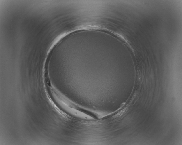 X0000051241422200507011614