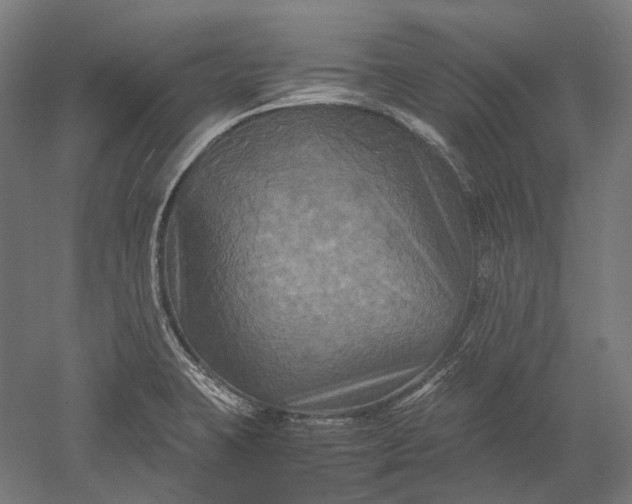 X0000051241423200507011614