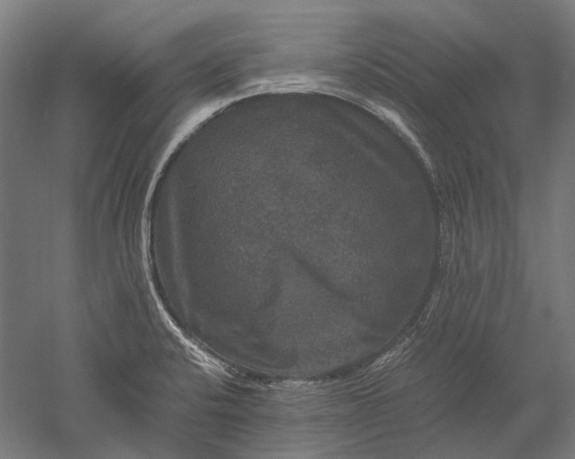 X0000051241424200507011614