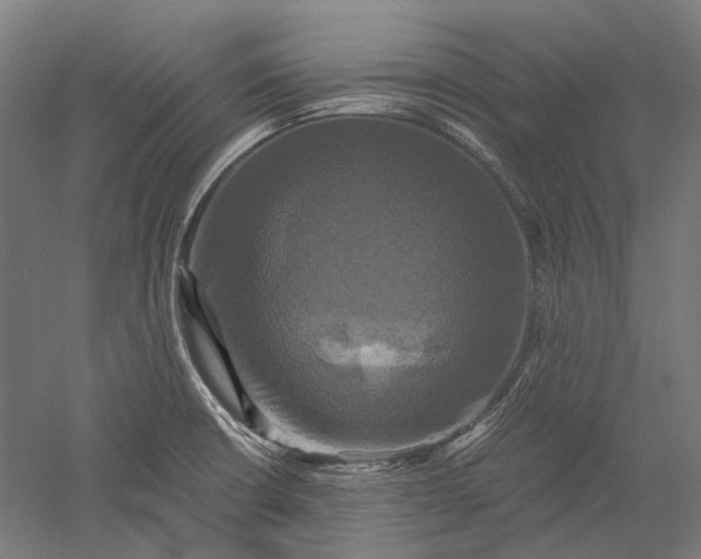 X0000051241426200507011614