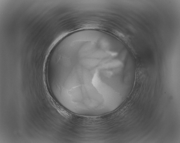 X0000051241427200507011614