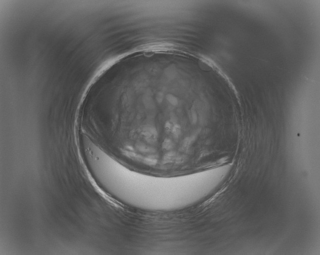 X0000051241429200507011614