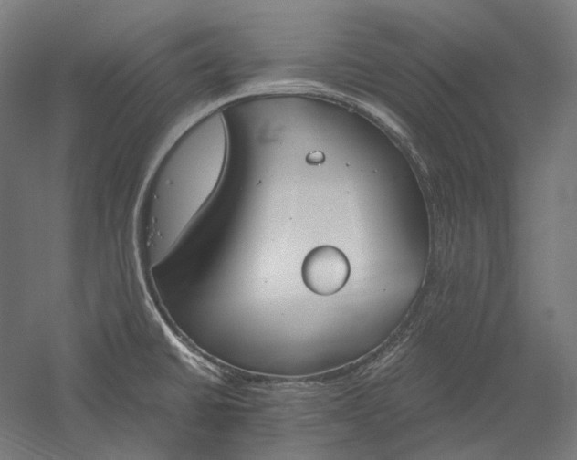 X0000051241430200507011614