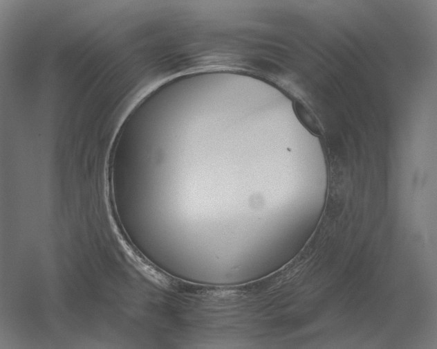 X0000051241431200507011614