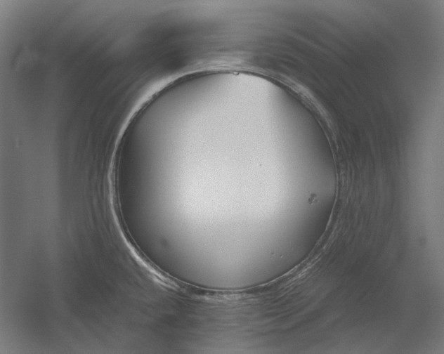 X0000051241432200507011614