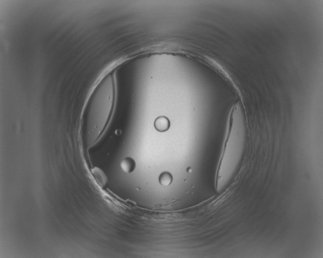 X0000051241434200507011614