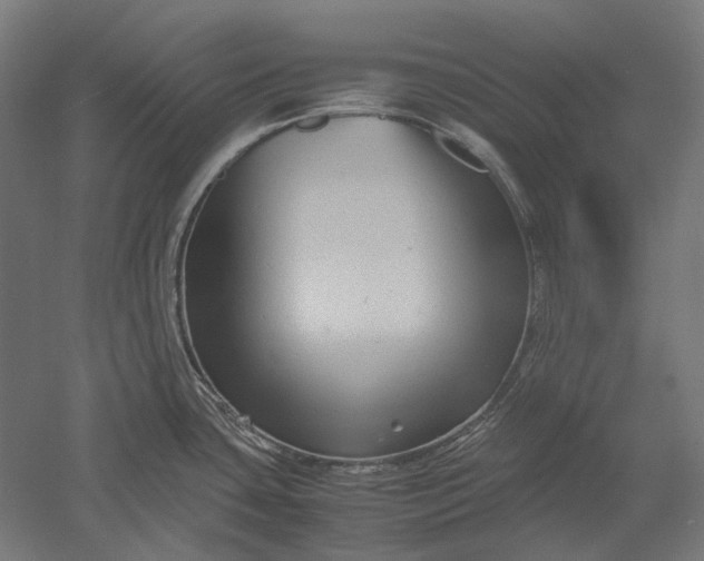 X0000051241435200507011614