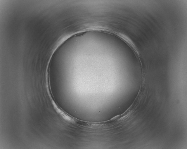 X0000051241439200507011614