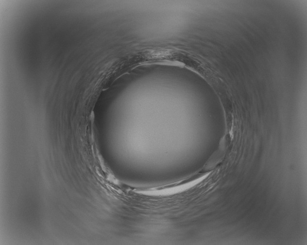 X0000051241441200507011614