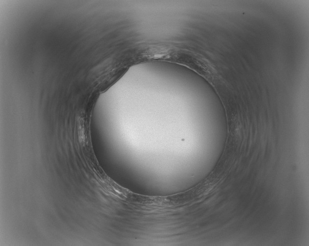 X0000051241442200507011613