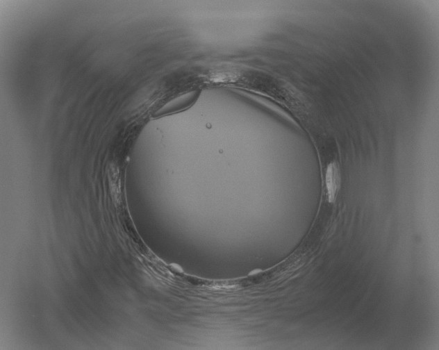 X0000051241443200507011613