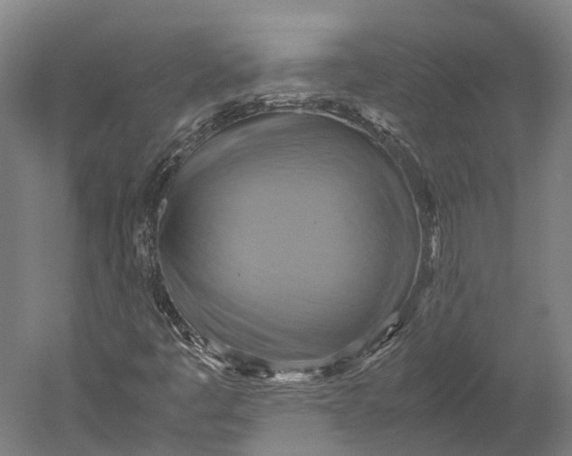 X0000051241445200507011613