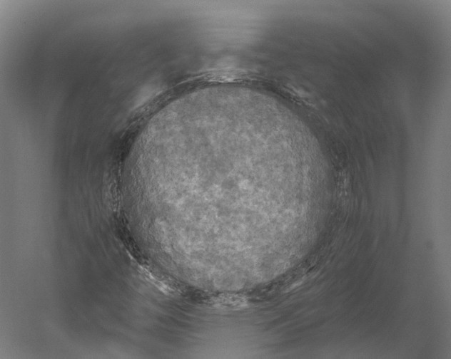 X0000051241446200507011613