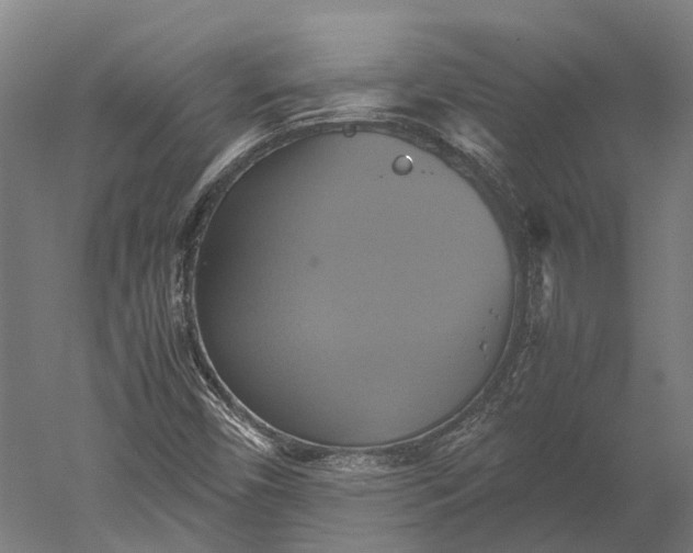 X0000051241450200507011613