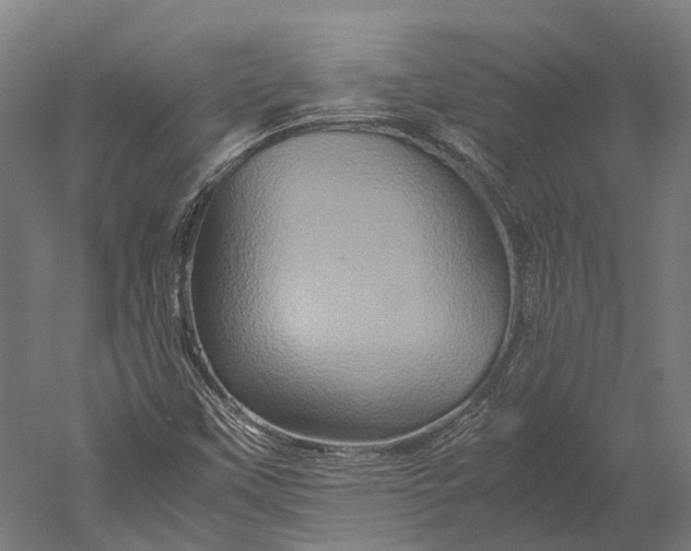 X0000051241451200507011613