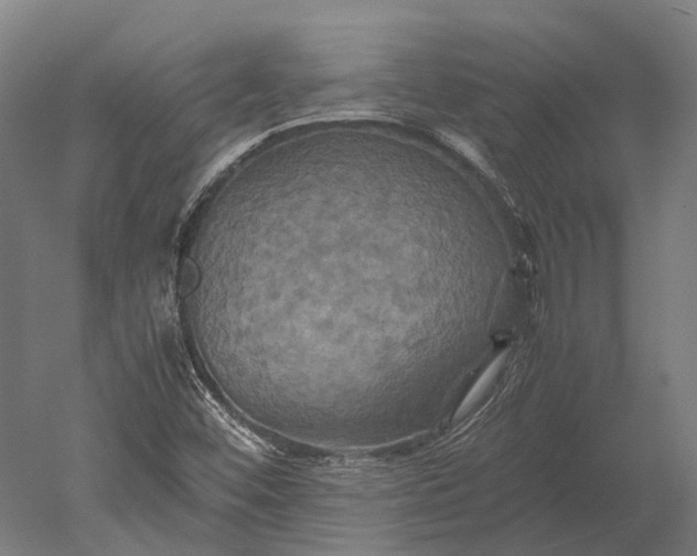 X0000051241452200507011613