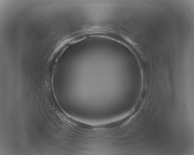 X0000051241453200507011613