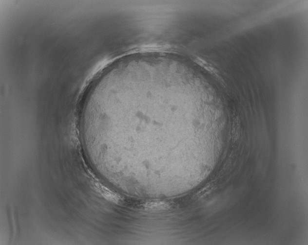 X0000051241454200507011613