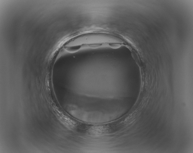 X0000051241455200507011613