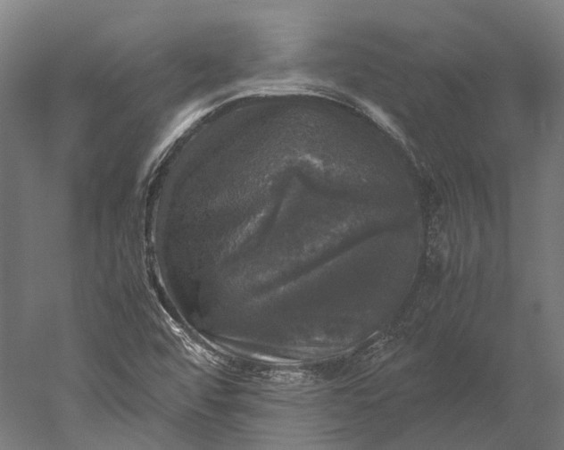 X0000051241456200507011613